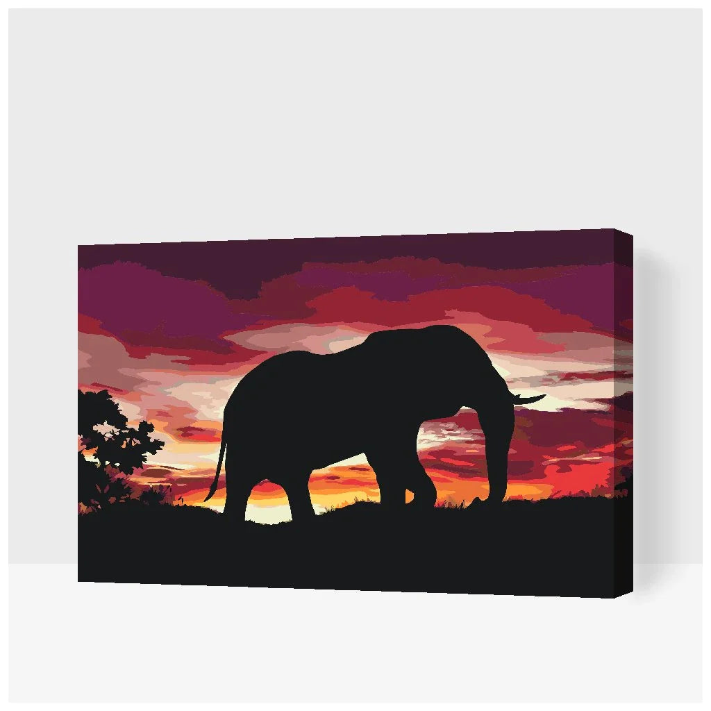 Afrikansk Elefant i Solnedgang