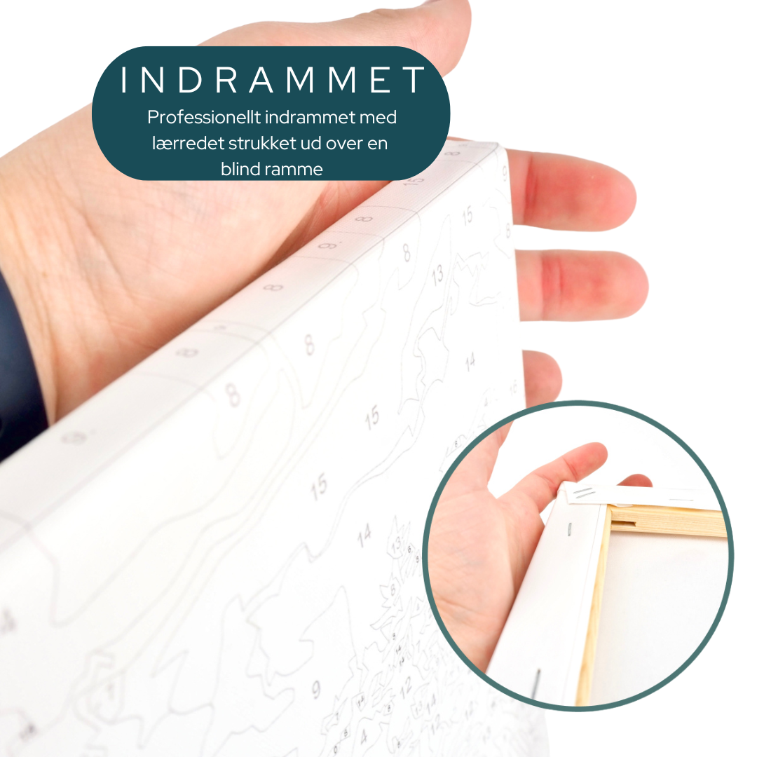 SOMMARSEmester I DANMARK