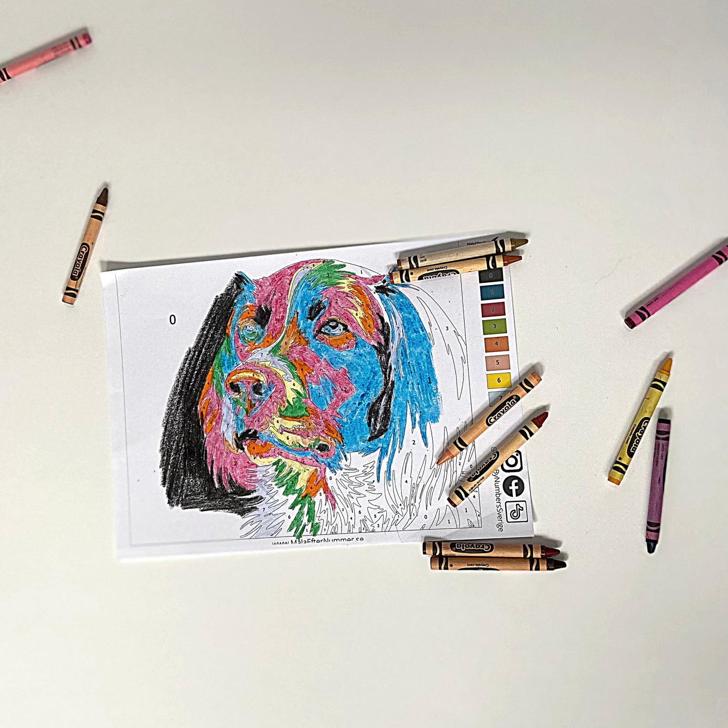 HUND - Gratis Mal Efter Tal - FREE PAINT BY NUMBERS