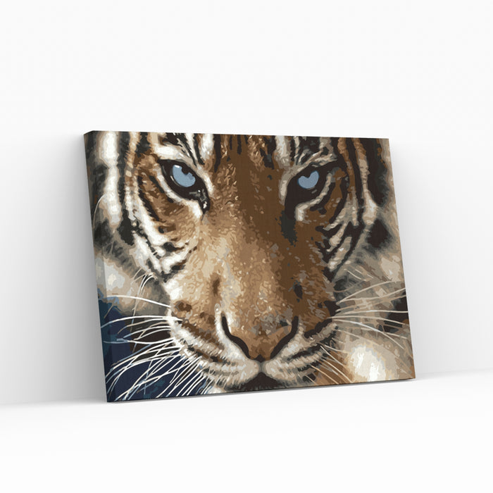 Paint By Numbers - TIGER