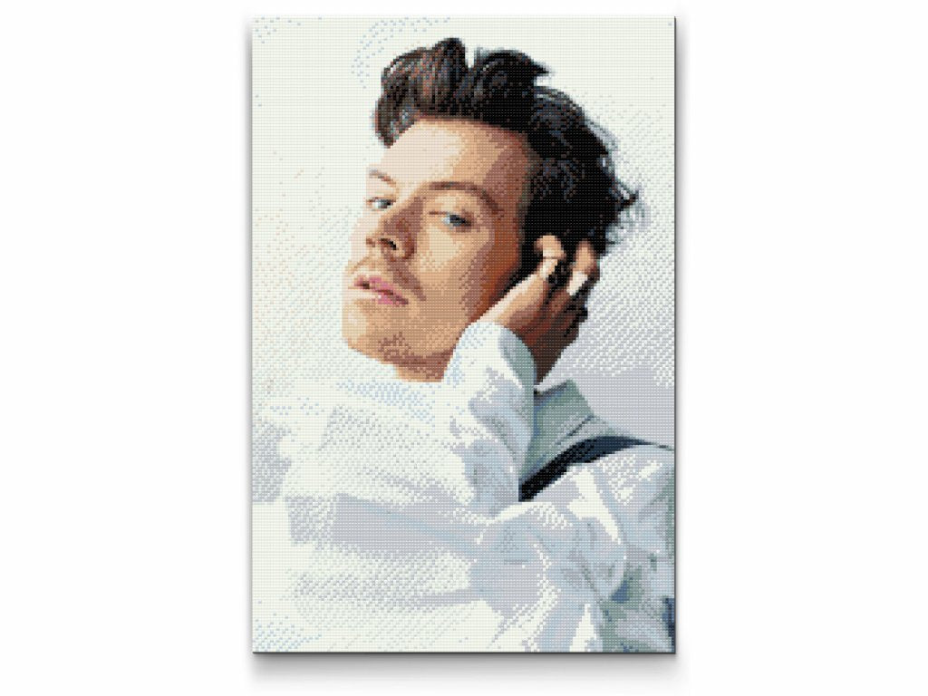 Skab et unikt Harry Styles diamond painting - Køb dit høj kvalitets sæt i her!