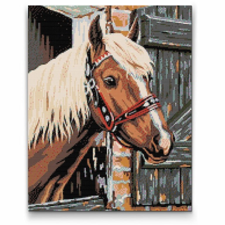 Brun hest - premium diamond painting