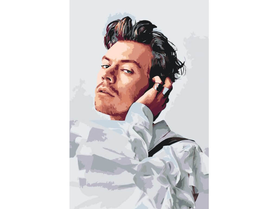 Mal Efter Tal - HARRY STYLES- Paint By Numbers