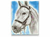 Køb diamond painting med hvid hest - bedste kvalitet og pris